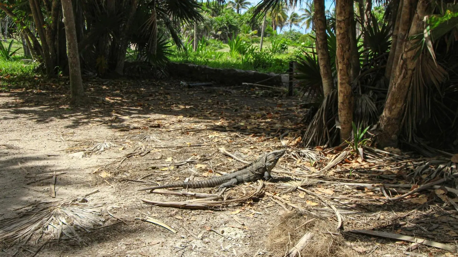 Apartmán Viva 107-108 Tulum Mexiko